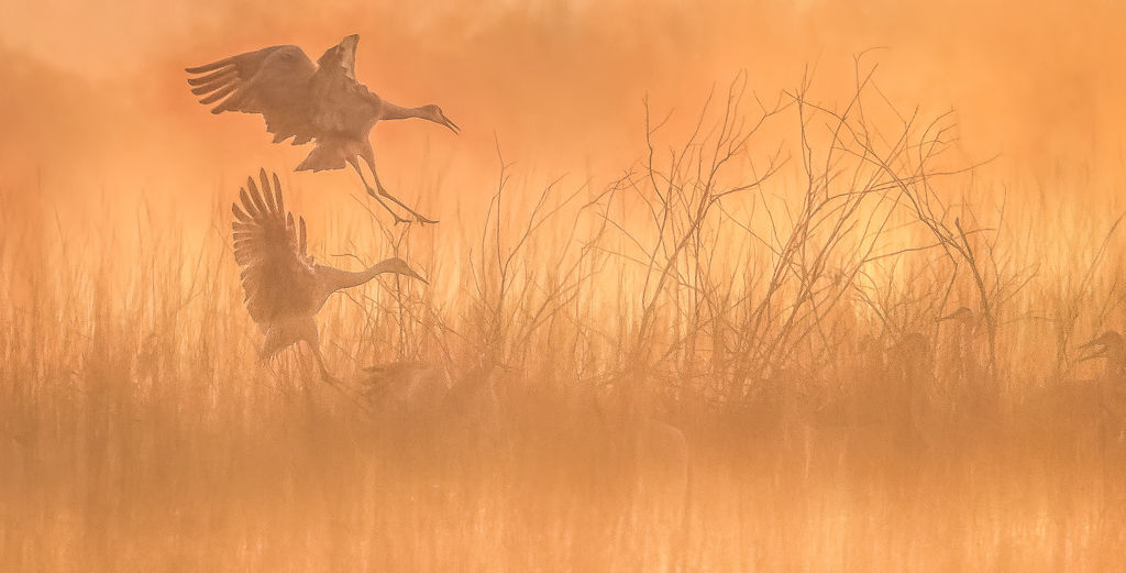 Kelly Marquardt: Sunrise at Crex Meadows